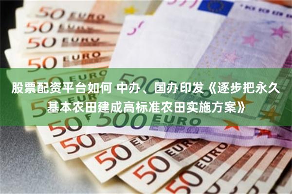 股票配资平台如何 中办、国办印发《逐步把永久基本农田建成高标准农田实施方案》