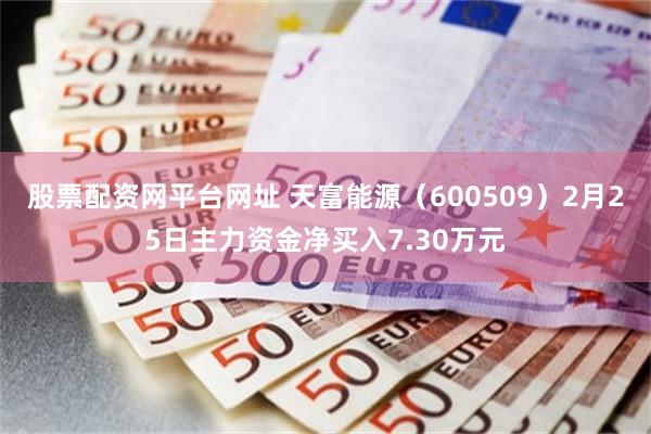 股票配资网平台网址 天富能源（600509）2月25日主力资金净买入7.30万元