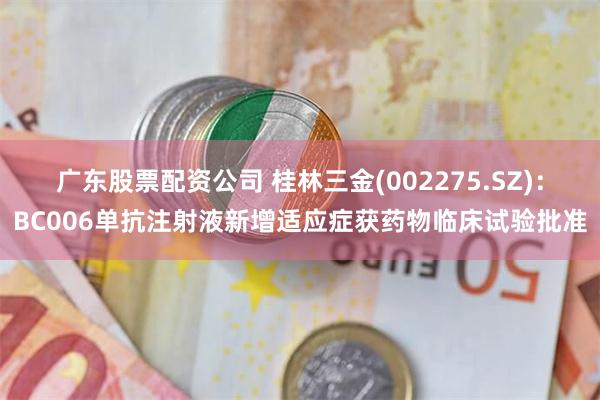 广东股票配资公司 桂林三金(002275.SZ)：BC006单抗注射液新增适应症获药物临床试验批准